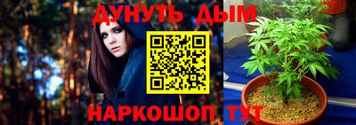 дмт Гусев