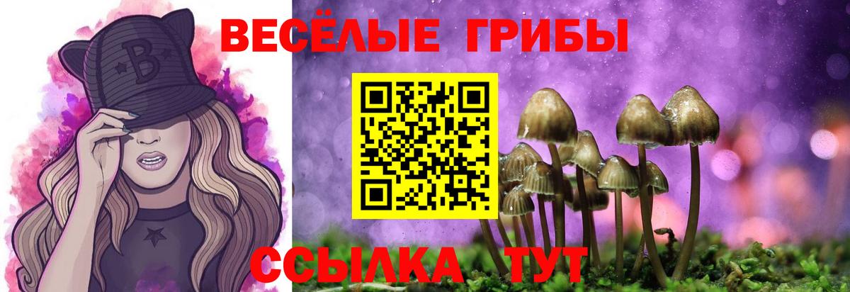 Псилоцибиновые грибы Magic Shrooms Минеральные Воды